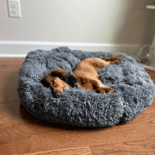 ZenMotion™ Pet Cushion Bed